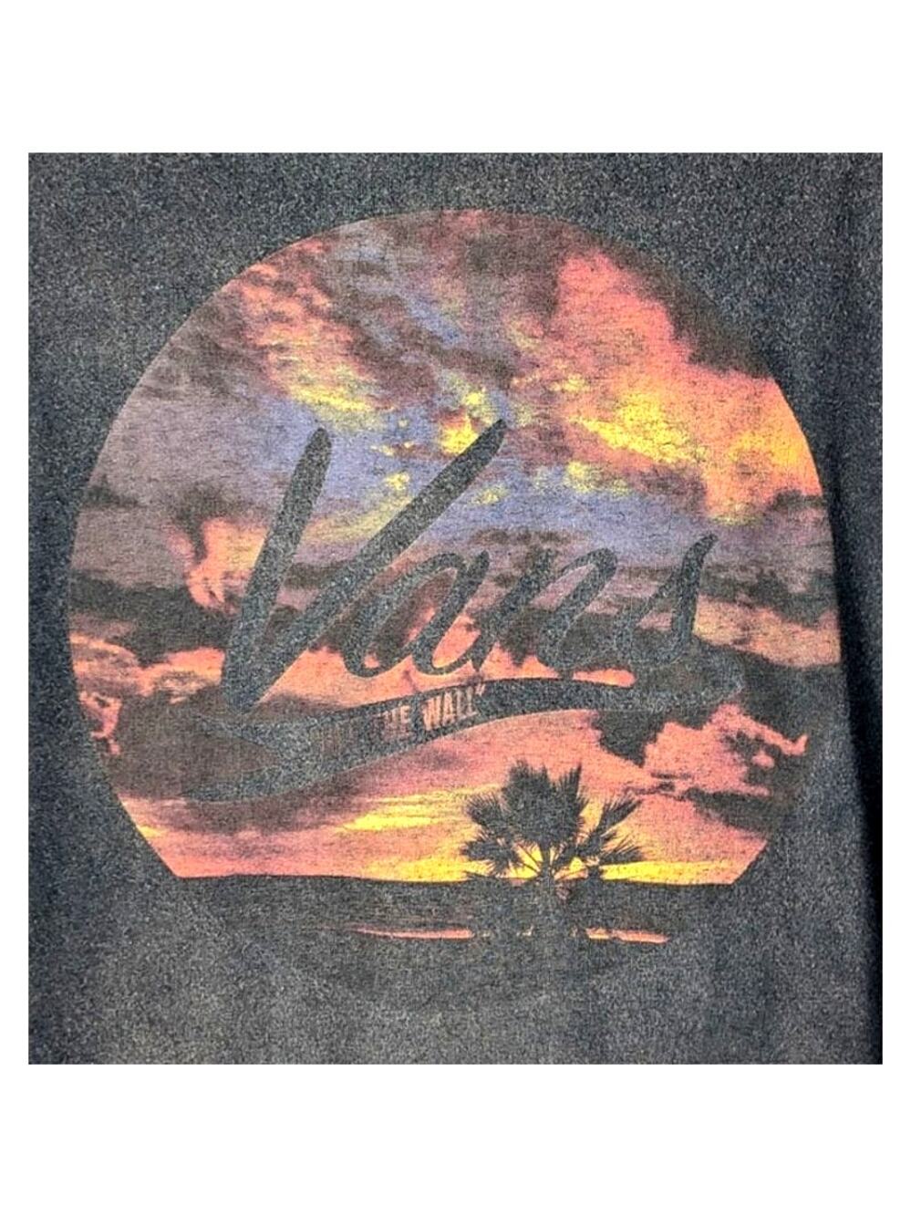 Vans Off the Wall M Short Sleeve Graphic Tee Dark Gray Blue Desert Sunset Print